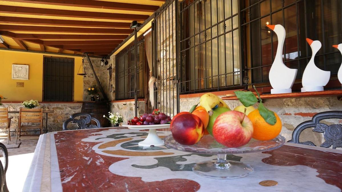 Casa Elia Tuscany- Lucca With Private Pool At Exclusive Use! San Martino in Freddana Exterior foto
